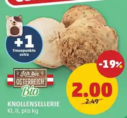 PENNY Österreich Bio Knollensellerie Angebot
