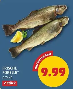 PENNY Frische Forelle Angebot