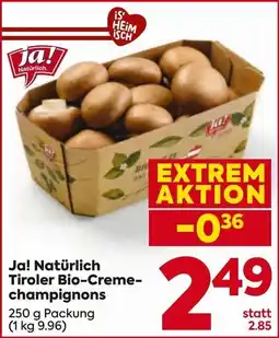 Billa Ja! Natürlich Tiroler Bio-Creme-champignons Angebot