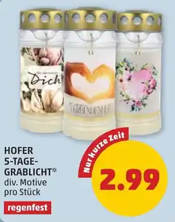 PENNY HOFER 5-TAGE-GRABLICHT* Angebot