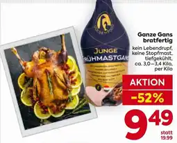 Billa Junge Frühmastgans Angebot