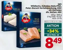 Billa Iglo Wildlachs Angebot