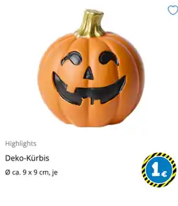 TEDi Deko-Kürbis Angebot