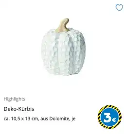 TEDi Deko-Kürbis Angebot