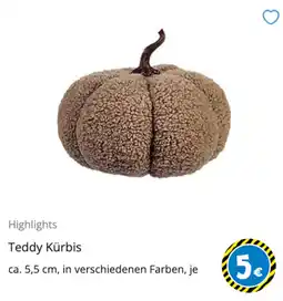 TEDi Teddy Kürbis Angebot