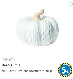 TEDi Deko-Kürbis Angebot