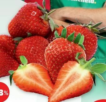 PENNY Erdbeeren Angebot