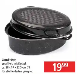 Pagro Diskont Gansbräter Angebot