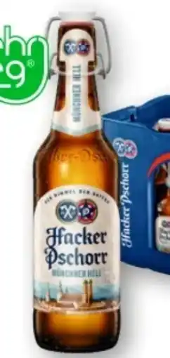 T&G Hacker Pschorr Münchner Hell Angebot