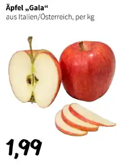 Der Grissemann Äpfel „Gala“ Angebot