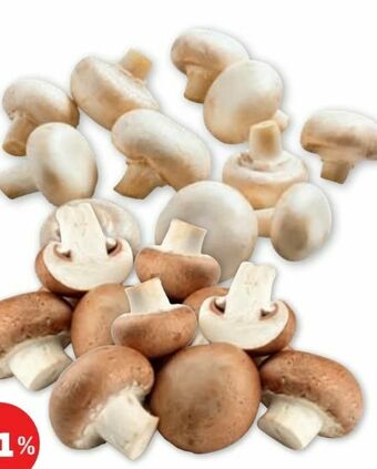 PENNY Champignons Angebot