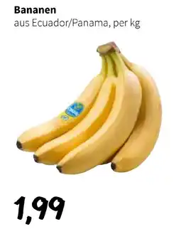 Der Grissemann Bananen Angebot
