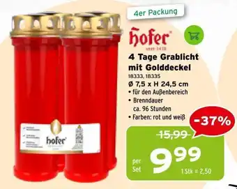 Hofer 4 Tage Grablicht mit Golddeckel
