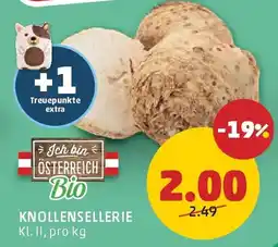 PENNY Österreich Bio Knollensellerie Angebot