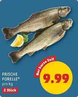 PENNY Frische Forelle Angebot