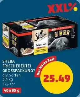 PENNY Sheba frischebeutel grosspackung Angebot