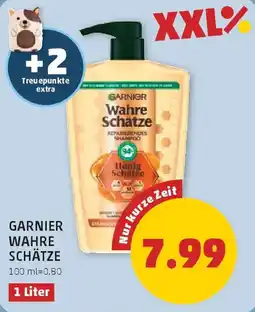 PENNY Garnier Wahre Schätze Angebot