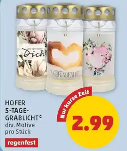 PENNY HOFER 5-TAGE-GRABLICHT* div. Motive Angebot