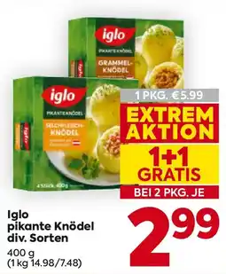 Billa Iglo pikante Knödel Angebot