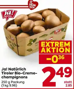 Billa Ja! Natürlich Tiroler Bio-Creme-champignons Angebot