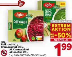 Billa Iglo Rotkraut Angebot