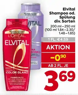 Billa Elvital Shampoo Angebot