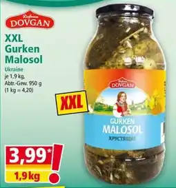Norma Dovgan Gurken Malosol Angebot