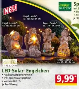 Norma I-GLOW LED-Solar- Engelchen Angebot
