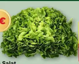 MPreis Endiviensalat Angebot