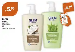 Müller Glem Vital Shampoo Angebot