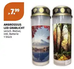 Müller Ambrossius LED Grablicht Angebot