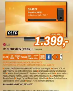 Expert LG 55" OLED EVO-TV Angebot