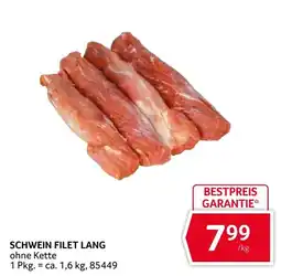 Transgourmet Schwein Filet Lang Angebot