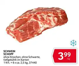 Transgourmet Schwein Schopf Angebot