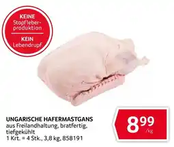 Transgourmet Ungarische Hafermastgans Angebot
