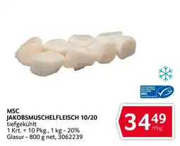 Transgourmet MSC Jakobsmuschelfleisch 10/20 Angebot
