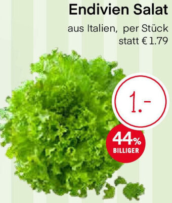 MPreis Endivien Salat Angebot