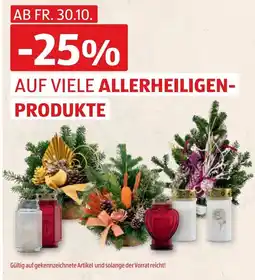 Hofer Allerheiligen-Produkte Angebot