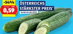 Hofer Bio-Gurke Angebot
