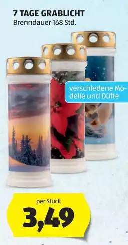 Hofer 7 Tage Grablicht Angebot