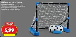 Hofer Crane Bewegliches Fussballtor Angebot