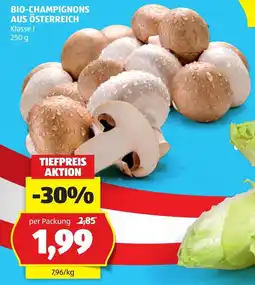 Hofer Bio-Champignons Angebot