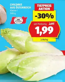 Hofer Chicoree aus Österreich Angebot