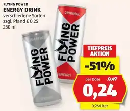 Hofer Flying Power Energy Drink Angebot