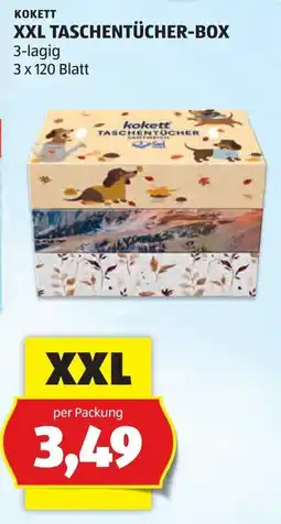 Hofer Kokett XXL Taschentücher-Box Angebot