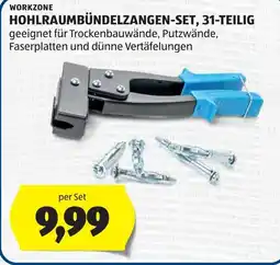 Hofer WORKZONE Hohlraumbündelzangen-Set Angebot