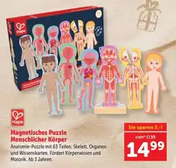 Interspar Magnetisches Puzzle Menschlicher Körper Angebot