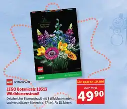 Interspar LEGO Botanicals Wildblumenstrauß Angebot