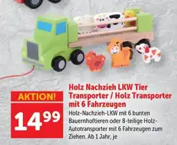 Interspar Holz Nachzieh LKW Tier Transporter Angebot