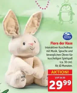 Interspar Flora der Hase Angebot